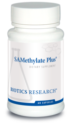 SAMethylate Plus (60C)